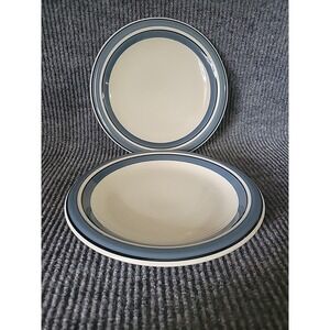 2 Pc Chromatics Stoneware 9.5" Dinner Plate Japan‎